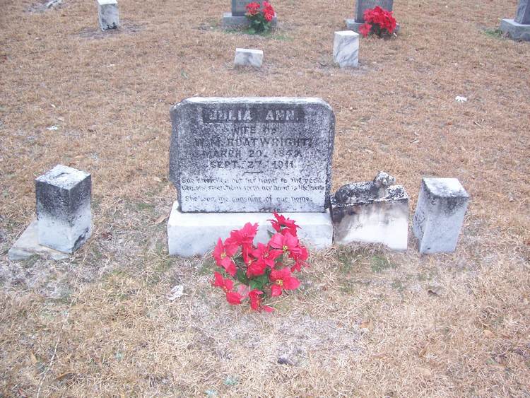 Julia Ann Davis Tombstone