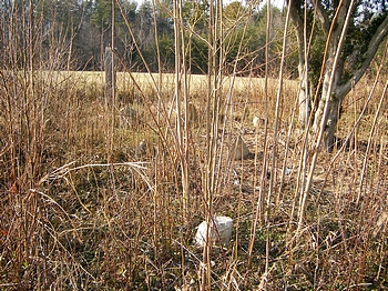 Boatwright-White-Shepherd Markers