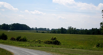 Social Hall Farm - Home of Reuben Boatwright